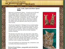 Tablet Screenshot of dynamicatocicats.com